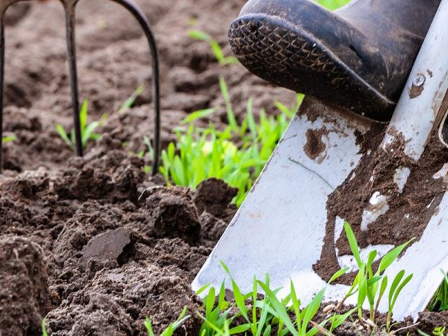 How to Get Your Home Ready for Spring   By Custom Build LTD – Widnes